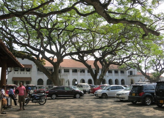 美しい大木が茂る裁判所前の広場